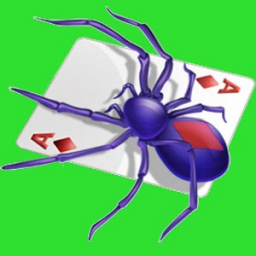 Spider Solitaire App by GASP