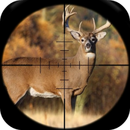 Whitetail Deer Hunting Calls App by Ape X Apps 333