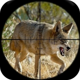 Coyote Hunting Calls App by Ape X Apps 333