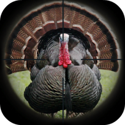 Turkey Hunting Calls App by Ape X Apps 333