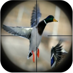 Duck Hunting Calls App by Ape X Apps 333