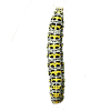 Caterpillar App by Dmitsoft