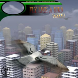 Fly like a bird 3 lite App by Gamevial