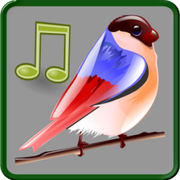 Birds Sounds Relax and Sleep App by Zodinplex