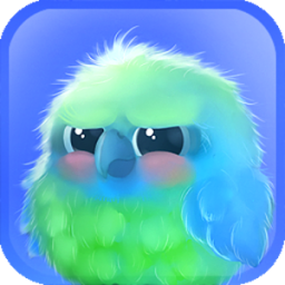 Kiwi The Parrot App by apofiss