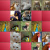 Memory Game - Animals App by Cooler