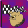 +dog+icon+button+checkered+purple+square+ clipart