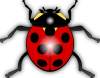 +beetle+insect+bug+ clipart