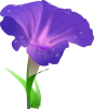 +purple+flower+blossom+ clipart