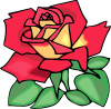 +rose+blossom+flower+plant+0000+ clipart