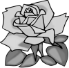 +rose+blossom+plant+0009+ clipart
