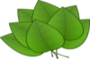 +leaves+plant+ clipart