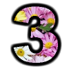+number+flower+3+ clipart