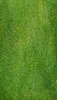 +green+grass+background+panel+ clipart