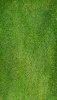 +green+grass+background+panel+ clipart
