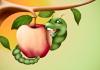 +happy+caterpillar+bug+apple+background+ clipart