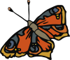 +flying+insect+butterfly+ clipart