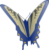 +flying+insect+butterfly+ clipart