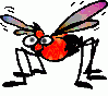 +insect+bug+ clipart