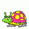 +insect+bug+beetle+ clipart