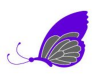 +insect+bug+butterfly+ clipart