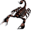 +insect+bug+scorpion+ clipart