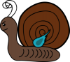 +insect+bug+snail+ clipart