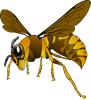 +insect+bug+wasp+hornet+ clipart