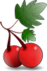 +red+fruit+cherry+ clipart