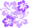 +hibiscus+corner+flower+blossom+purple+ clipart