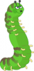 +bug+insect+catepillar+ clipart