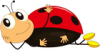 +bug+insect+ladybug+smiling+cartoon+ clipart