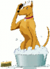 +jurassic+dog+in+bath+cartoon+ clipart