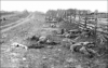 +history+civil+war+Antietam+sunken+road+1+ clipart