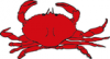 +animal+aquatic+crab+red+ clipart
