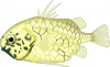 +fish+aquatic+Pineconefish+Monocentris+japonicus+ clipart