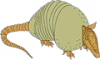 +mammal+Armadillo+1+ clipart