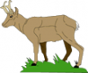 +mammal+antelope+1+ clipart