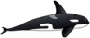 +marine+mammal+orca+clip+ clipart