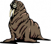 +marine+mammal+walrus+0+ clipart