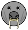 +marine+mammal+walrus+icon+ clipart