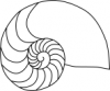 +sealife+Nautilus+outline+ clipart