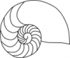 +sealife+Nautilus+outline+ clipart