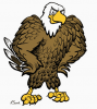 +armed+forces+military+Eagle+AF+6+ clipart