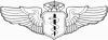 +armed+forces+military+Flight+Surgeon+badge+Command+Level+ clipart