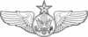 +armed+forces+military+Senior+Enlisted+Aircrew+badge+senior+level+ clipart