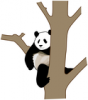 +animal+mammal+Ursidae+giant+panda+in+a+Tree+ clipart