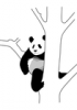 +animal+mammal+Ursidae+panda+in+tree+ clipart