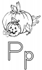 +education+learn+P+is+for+Pumpkin+ clipart