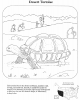 +line+art+outline+Desert+Tortoise+ clipart